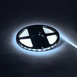 Светодиодная лента DC12V IP65 холодный белый. Horoz Electric "REN" (катушка. Цена за метр) х 081-001-0001-021 фото