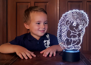 3D світильник нічник з пультом "Їжачок" 3DTOYSLAMP 04-071 фото