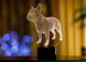 3D світильник нічник з пультом "Французький бульдог" 3DTOYSLAMP s0130 фото 1