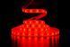Светодиодная лента DC12V IP65 RGB. PROLUM SG 5050-60 (катушка. Цена за метр) *320048 фото 4