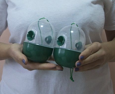 Пастка для ос, мух и насекомы Wasp Trap, 2 шт 3 451 355 фото