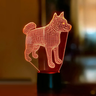 3D светильник ночник с пультом "Акита" 3DTOYSLAMP 4312СВКТ фото