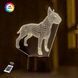 3D світильник нічник&nbsp;з пультом "Бультер'єр 3" 3DTOYSLAMP 987425КК фото 1